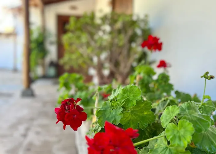 La Paredita Casa Taoro