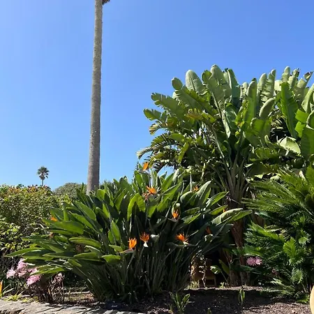 La Paredita Casa Taoro *