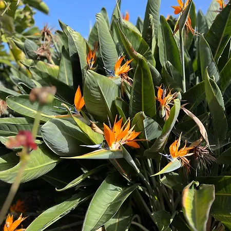 La Paredita Casa Taoro Сasa de vacaciones *