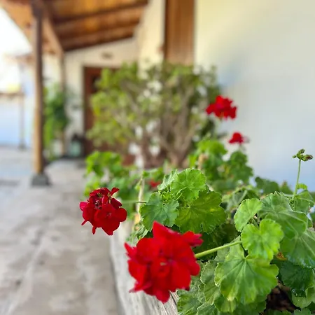 La Paredita Casa Taoro