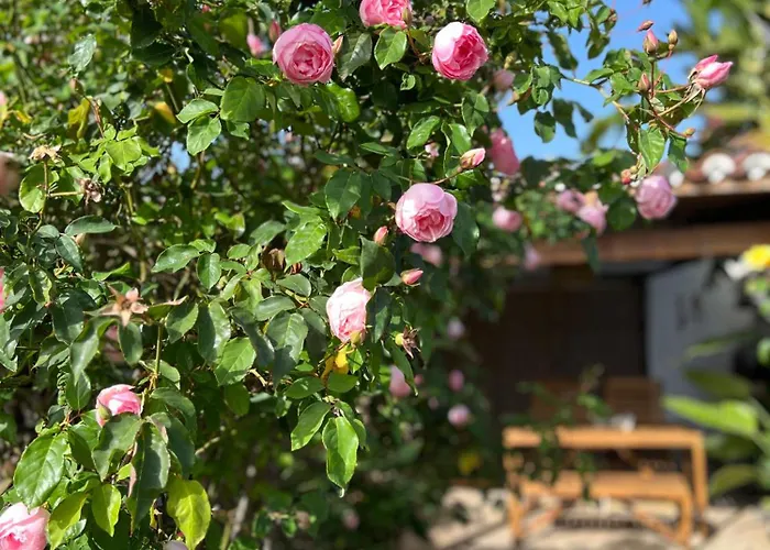 La Paredita Casa Taoro Semesterbostad *