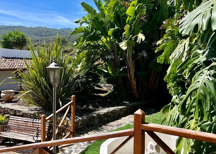La Paredita Casa Taoro Tatil Evi
